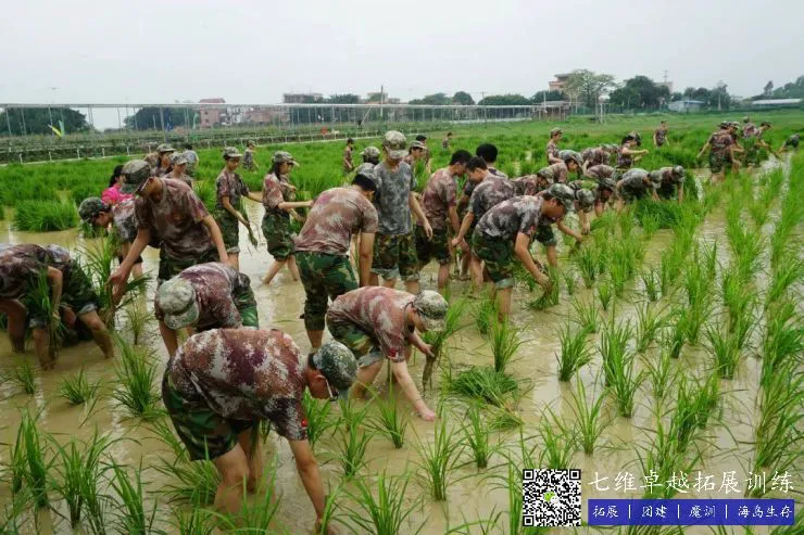 刻苦训练篮球时如何避免受伤的建议_2